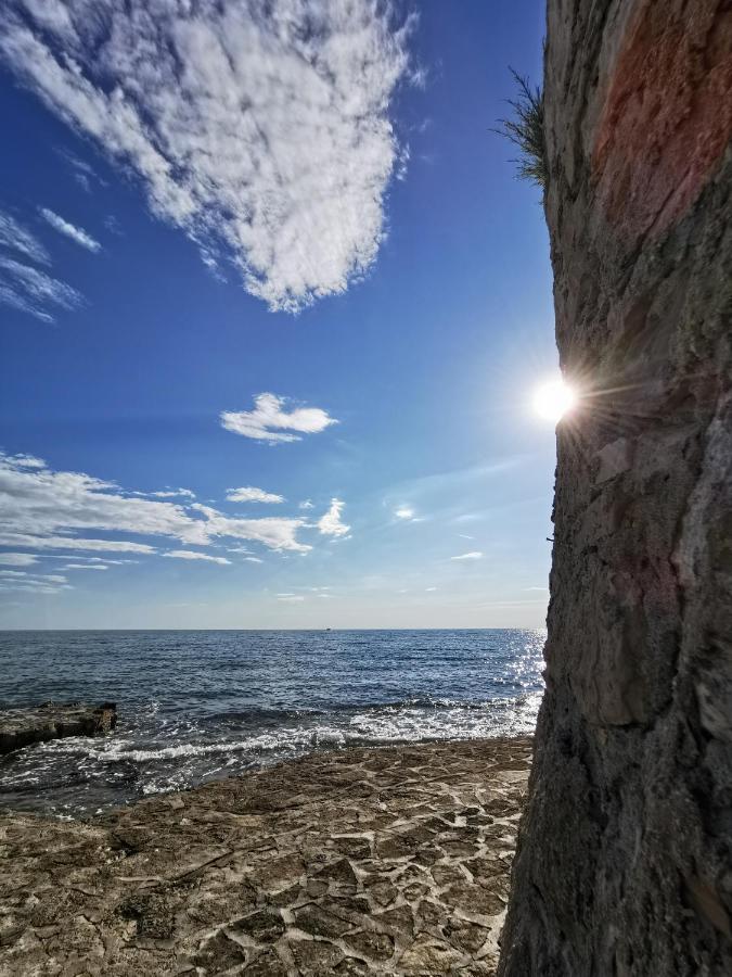 Mirta Deluxe Superior 5 Star Apartment, Your Piece Of Heaven By The Sea & Park, With Sea & Park View Novigrad  Zewnętrze zdjęcie