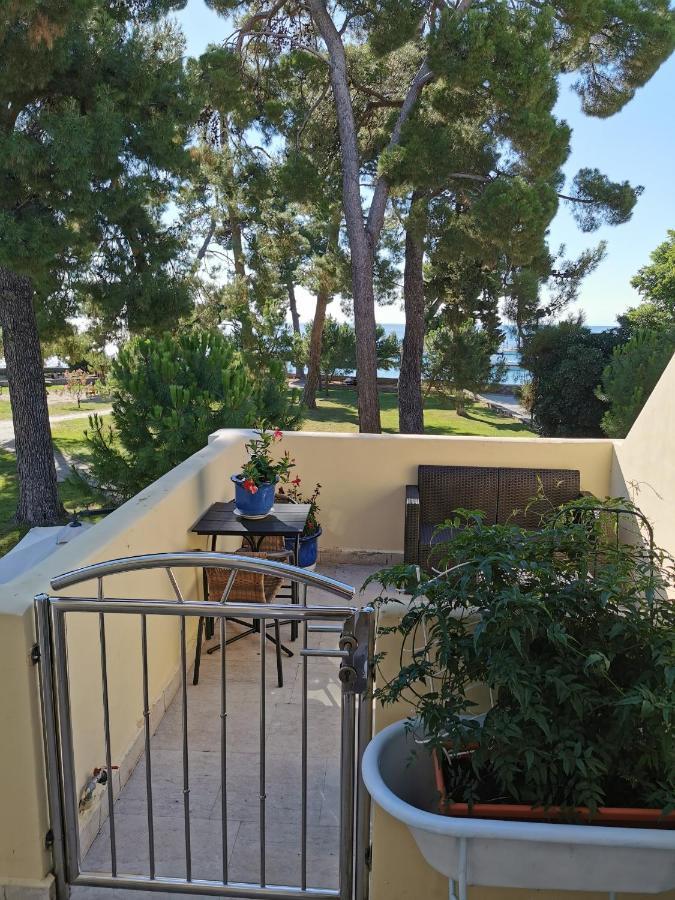 Mirta Deluxe Superior 5 Star Apartment, Your Piece Of Heaven By The Sea & Park, With Sea & Park View Novigrad  Zewnętrze zdjęcie